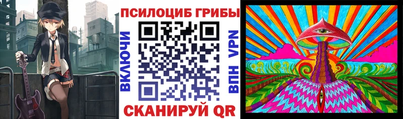 продажа наркотиков  Александровск  Галлюциногенные грибы MAGIC MUSHROOMS 